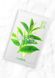Антиоксидантна тканинна маска з екстрактом зеленого чаю THE SAEM Natural Green Tea Mask Sheet 21 мл - додаткове фото