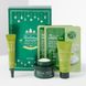 Набір для комплексного догляду за шкірою обличчя з екстрактом зеленого чаю TONY MOLY Holiday Green Tea Kit: Intense Cream, Eye Cream, Mask Sheet, Foam Cleanser 60 + 30 + 20x2 + 50 мл - додаткове фото